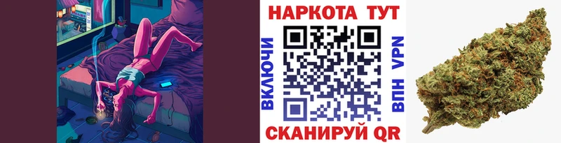 МЕФ Долгопрудный