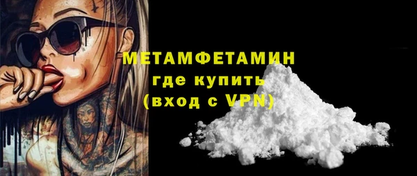 индика Мегион