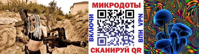 Галлюциногенные грибы Psilocybe  купить закладку  Долгопрудный 